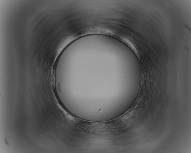 X0000094951103200711291059