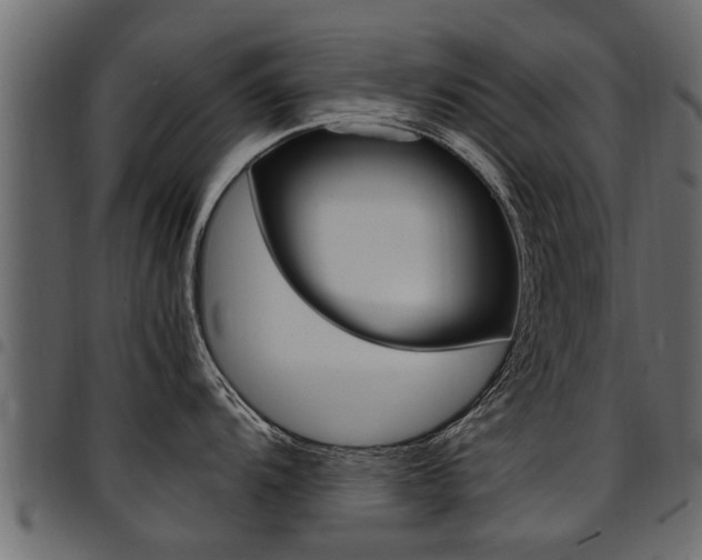 X0000094951104200711291059