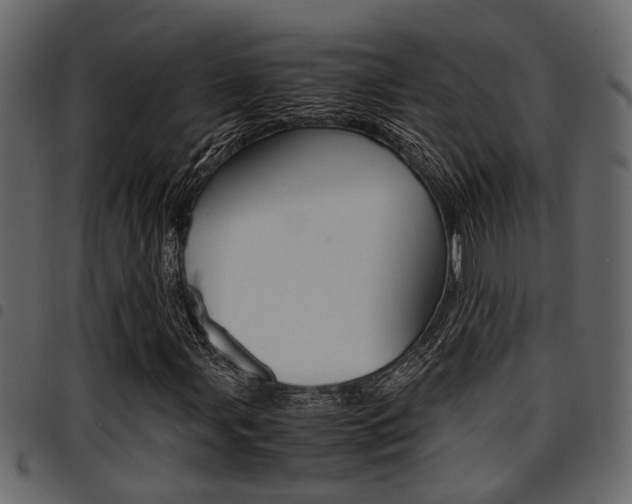 X0000094951107200711291058