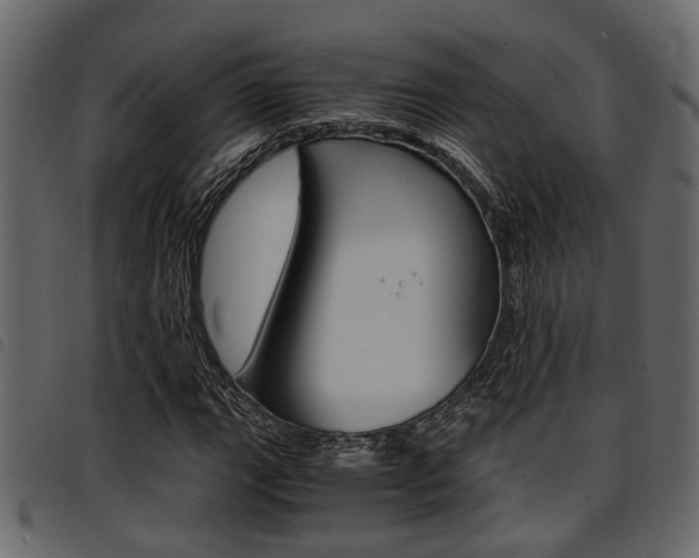 X0000094951111200711291059