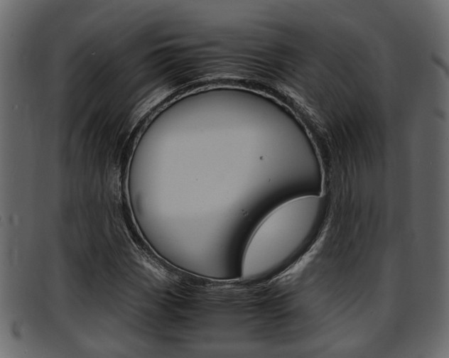 X0000094951113200711291059