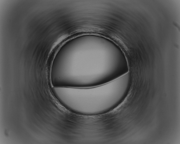 X0000094951114200711291059