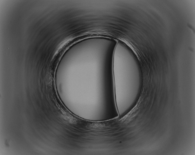 X0000094951115200711291059