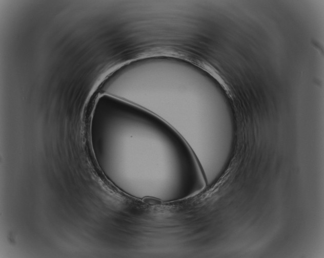 X0000094951116200711291059