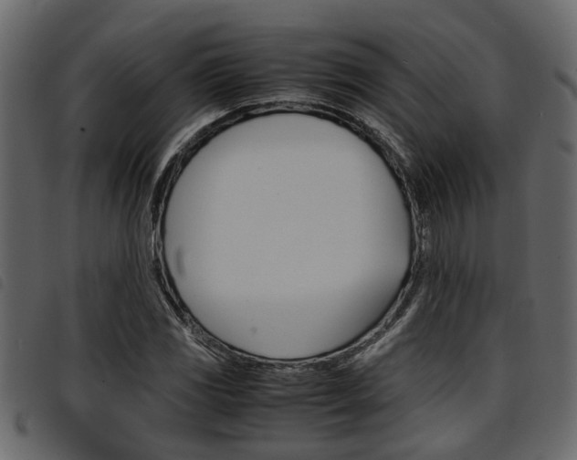 X0000094951117200711291059