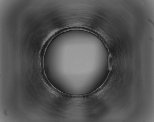 X0000094951118200711291059