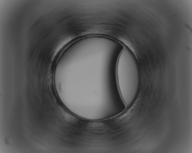 X0000094951119200711291059