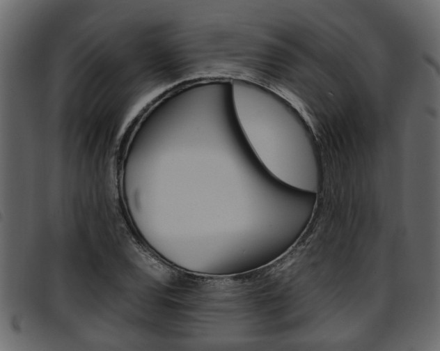 X0000094951120200711291059
