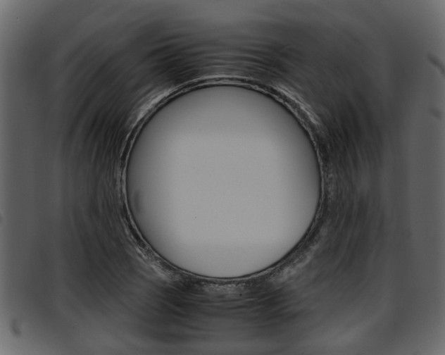 X0000094951121200711291059