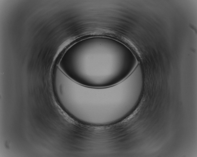 X0000094951122200711291059