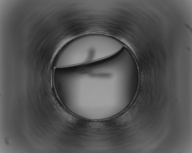 X0000094951123200711291059
