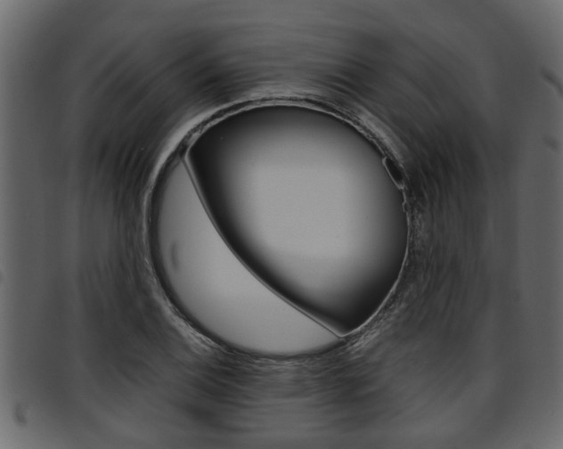 X0000094951124200711291059
