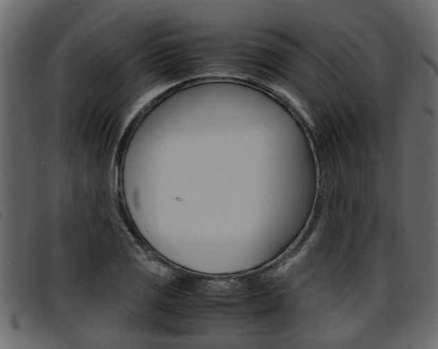X0000094951125200711291059