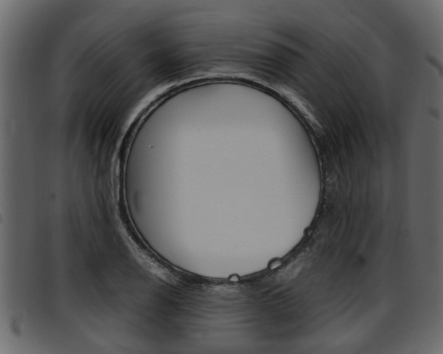 X0000094951126200711291059