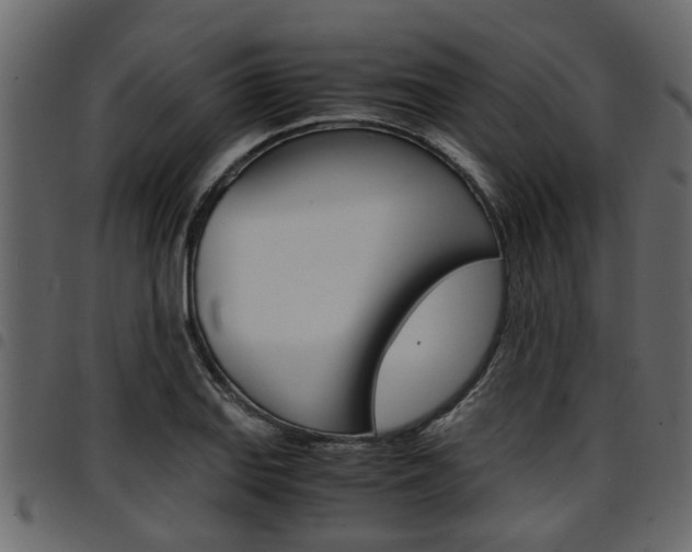 X0000094951127200711291059