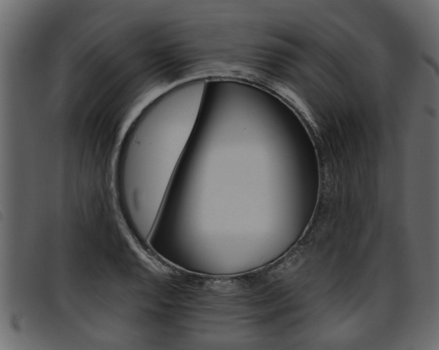 X0000094951128200711291059