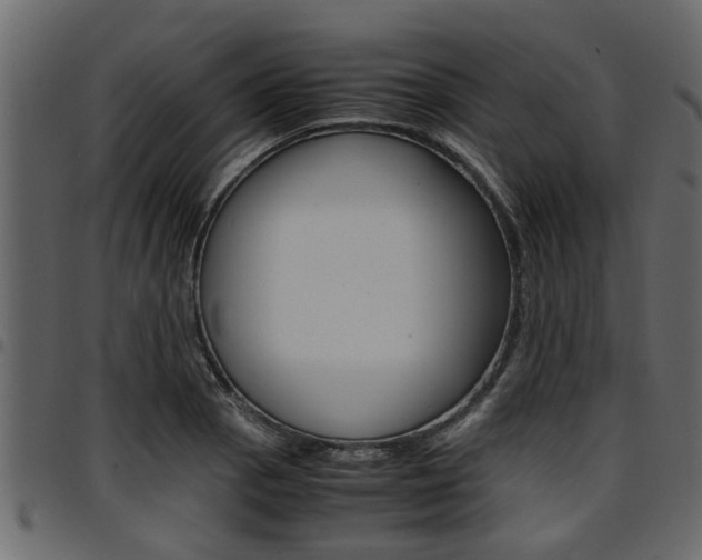 X0000094951129200711291059