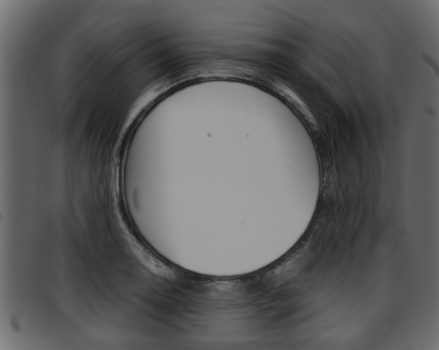 X0000094951130200711291059