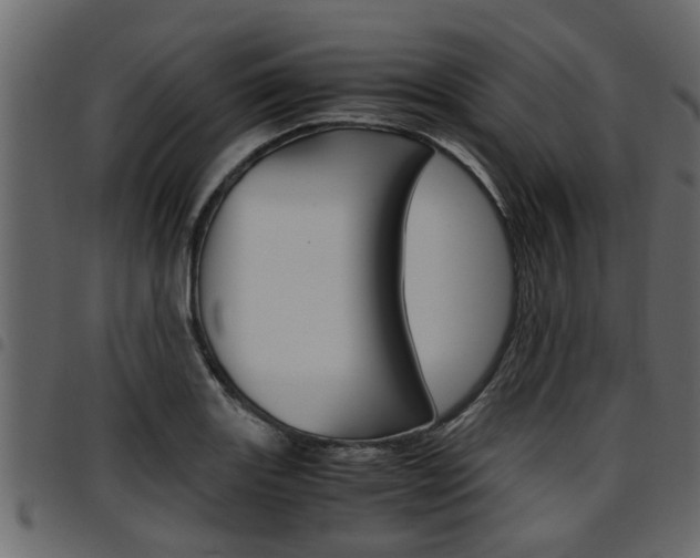 X0000094951131200711291059