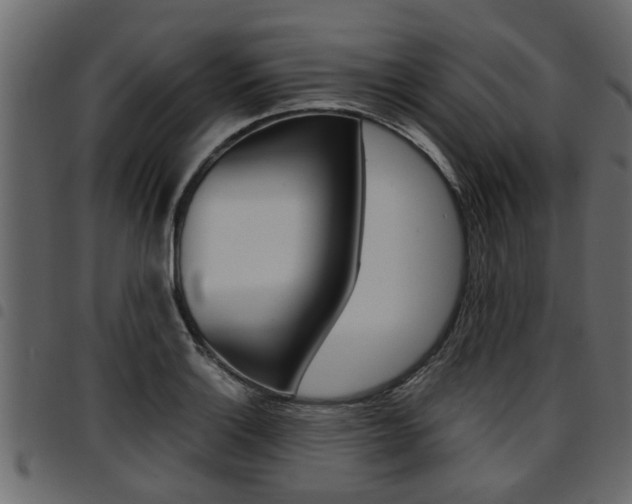 X0000094951132200711291059