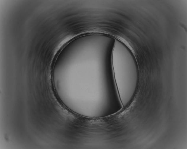 X0000094951133200711291059