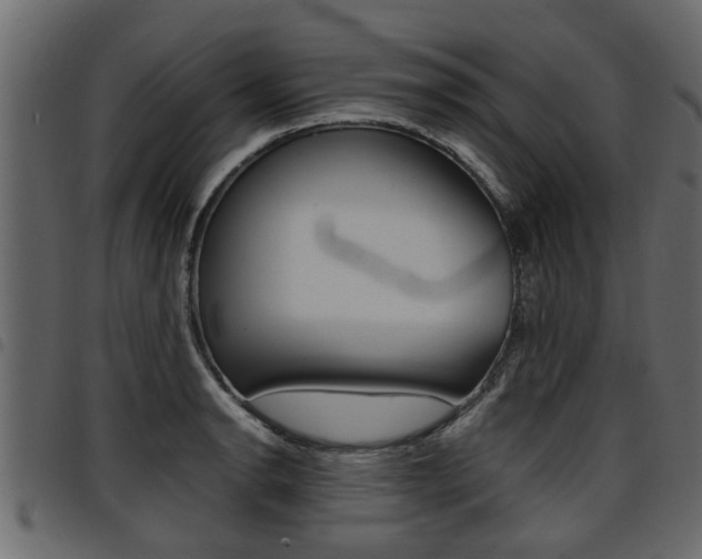 X0000094951134200711291059