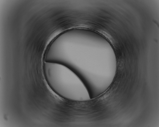 X0000094951135200711291059