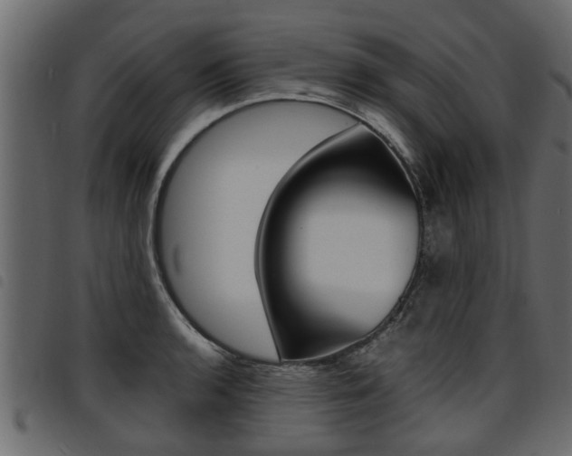 X0000094951136200711291059