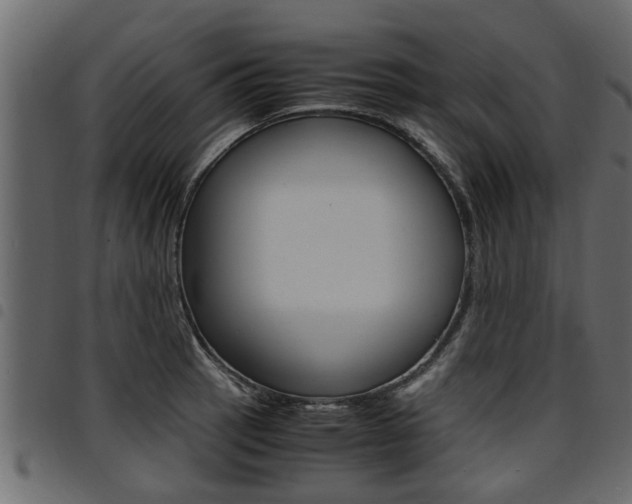 X0000094951137200711291059