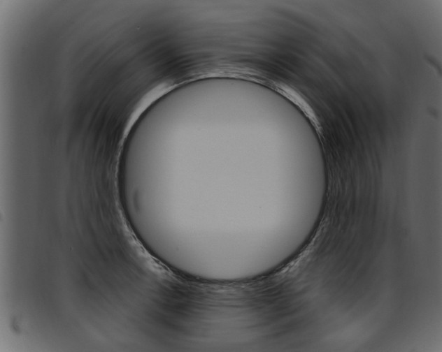 X0000094951138200711291059