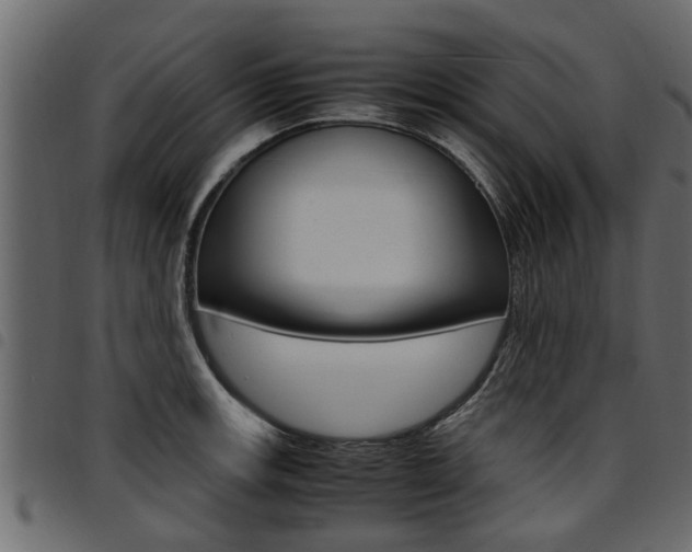 X0000094951139200711291059