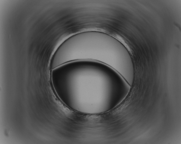 X0000094951140200711291059