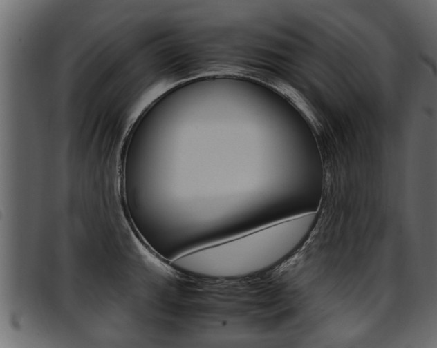 X0000094951143200711291059