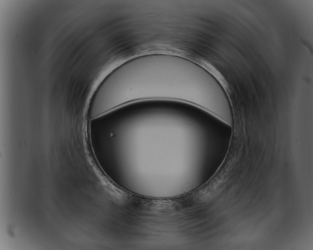 X0000094951144200711291059