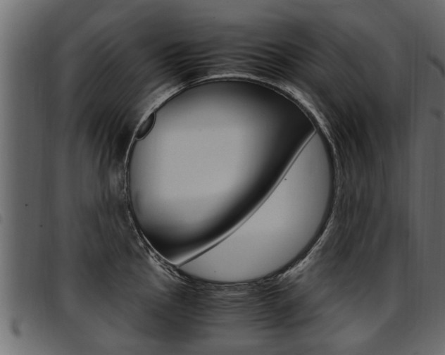 X0000094951145200711291059