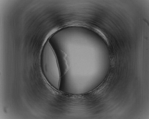 X0000094951146200711291059