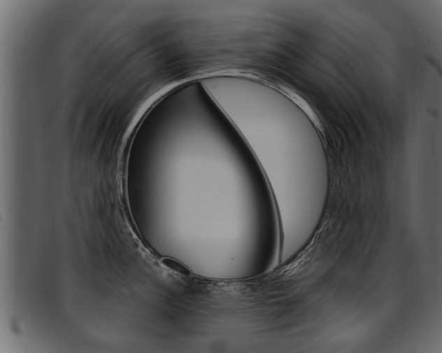 X0000094951148200711291059