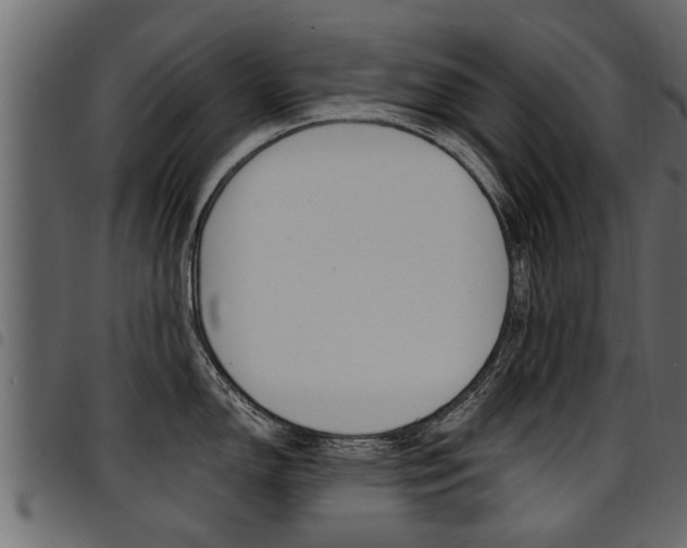 X0000094951150200711291059