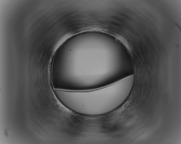 X0000094951151200711291059