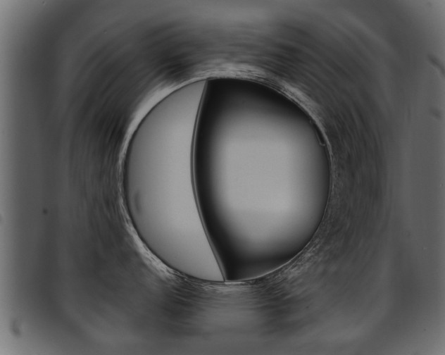 X0000094951152200711291059