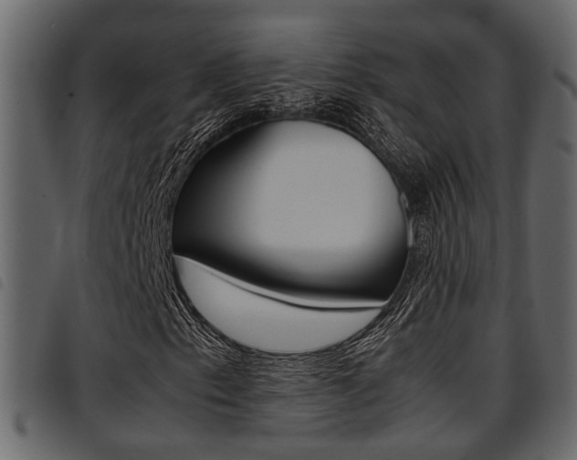 X0000094951153200711291058