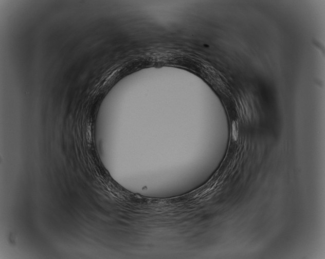 X0000094951155200711291058