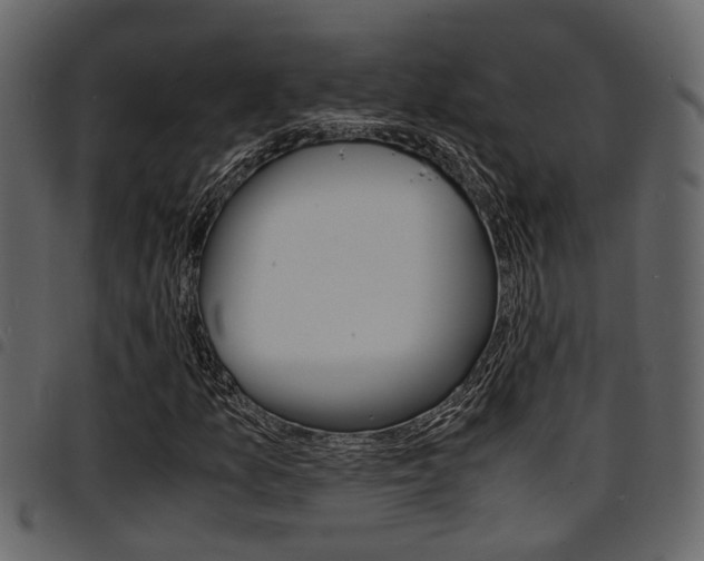X0000094951157200711291058