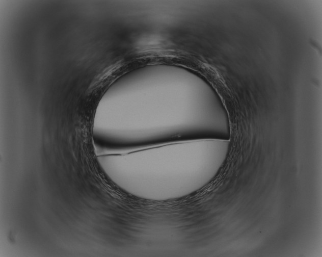 X0000094951159200711291058