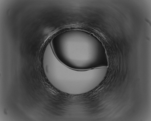X0000094951160200711291058