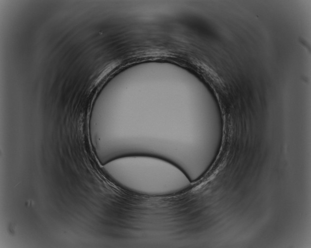 X0000094951162200711291058