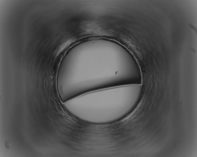 X0000094951163200711291058