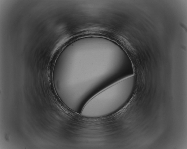 X0000094951164200711291058