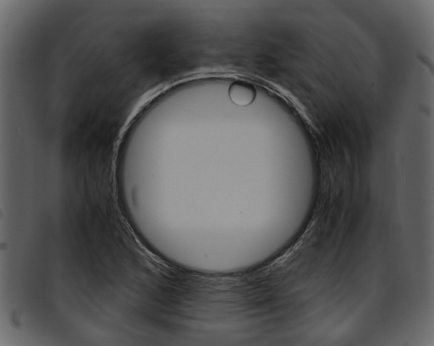 X0000094951168200711291058