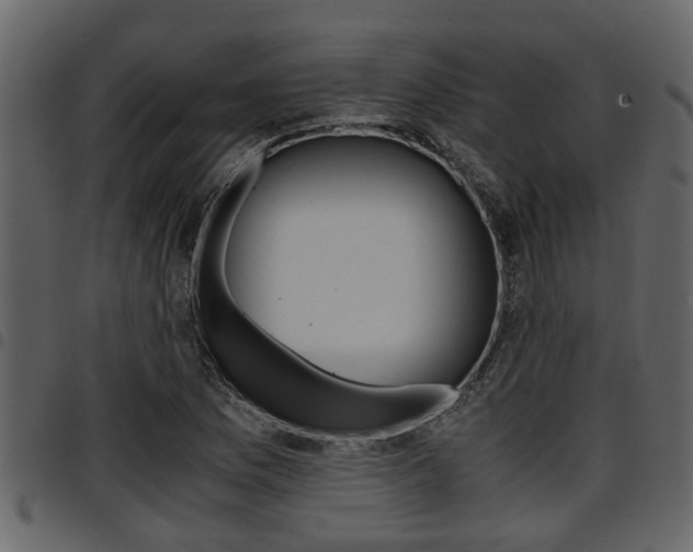 X0000094951169200711291058